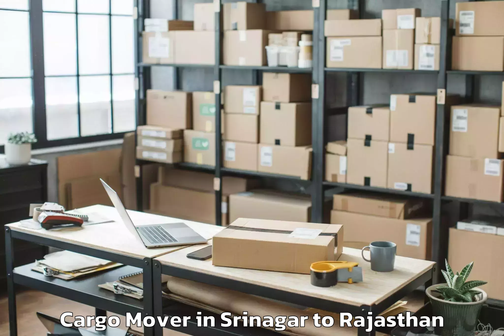 Easy Srinagar to Parbatsar Cargo Mover Booking